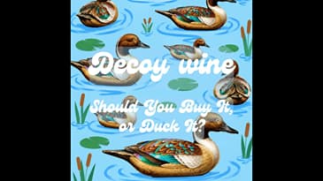 Decoy Wine: Should You Buy It, or Duck It?