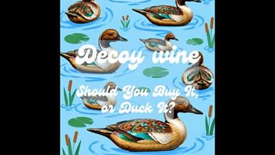 Decoy Wine: Should You Buy It, or Duck It?