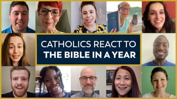 What Catholics Are Saying about The Bible in a Year (with Fr. Mike Schmitz)