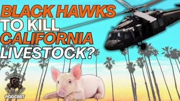 The HORRORS on California Channel Islands Committed by OUR Government