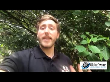 Animal Rescue in Costa Rica: A Peek At Our Live Virtual Experience! Take 2