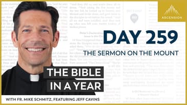 Day 259: The Sermon on the Mount — The Bible in a Year (with Fr. Mike Schmitz)