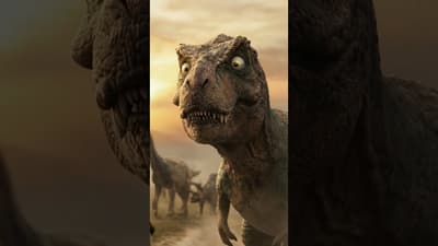 Not Everything Gets Access... Especially Hybrids!