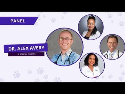 Dog Allergy Summit Kick Off Panel