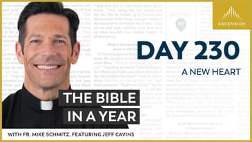 Day 230: A New Heart — The Bible in a Year (with Fr. Mike Schmitz)