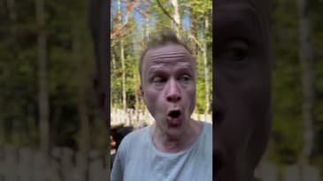 Fd bibliotikarie Gerard Gahm i en zombieapokalyptisk värld, del 4.