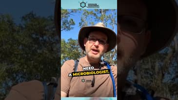 Industrial Hygiene: Where Are We Going?