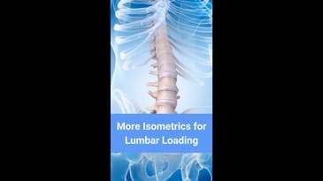 More Isometrics Strategies for Lumbar Loading and Low Back Pain
