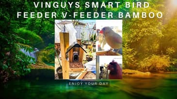 "This Bamboo Bird Feeder Identifies Birds for You! VINGUYS V-Feeder Unboxing"