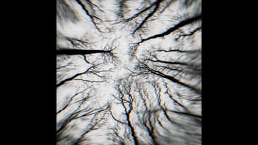 Breathing Outside the Tent: A Backcountry Nightmare