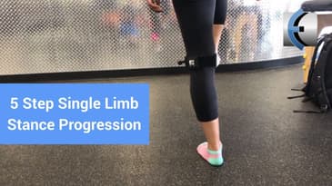 5 Step Single Limb Stance Progression