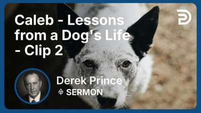 Caleb - Lessons from a Dog's Life | Clip 2 | Derek Prince