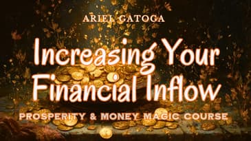 Increasing Your Financial Inflow--PMM