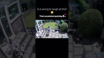 Crashing on the stairs - comedy short 🩼🤕 #short