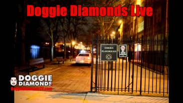 Doggie Diamonds Live Show Speaks On Brownsville Situation
