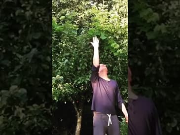 Snart är det såhär ute!