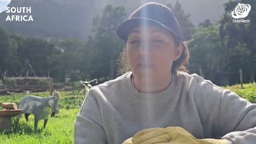 Community Impact Manager Interview! South Africa with Globe Aware (CHG EVT Group)