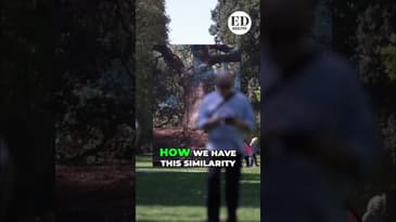 Nature Meets Digital: Marshmallow Lazer Feast's New Vision #shorts