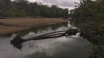 The Burger Chef Murders: The Murder Sheet Episode #3: "You Never Can Forget: The Creek"