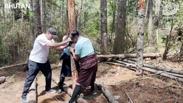 Building At The Animal Shelter! Bhutan with Globe Aware