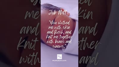 #Bible Verse - Job 10:11 - #motivation #inspiration #faith