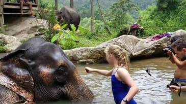 Bathing with an Elephant in Thailand! Globe Aware Virtual Travel