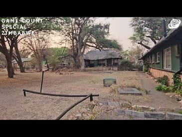 A Look Outside the Lodgings! Zimbabwe Game-Count Special with Globe Aware (2023)