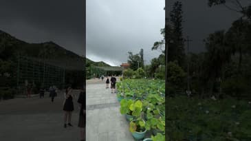#hongkong #lantauisland #shorts #bigbuddha #empath #tiantanbuddha #discoverhongkong