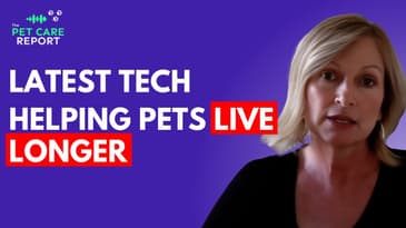 Transforming Pet Health with AI
