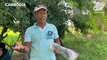 Your Guide to Cambodia with Globe Aware!