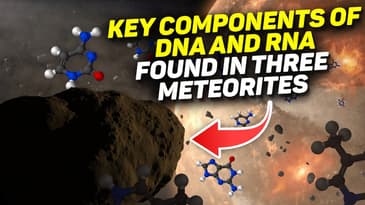 Asteroid Ryugu contains RNA building block! & Other Astronomy News | SpaceTime  S26E42