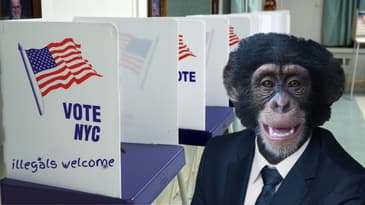 New York bill would let illegal immigrants vote in local elections