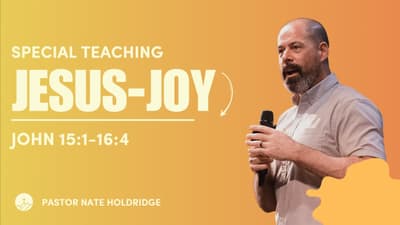Jesus-Joy (John 15:1-16:4)