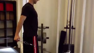 Standing Cable Pullbacks