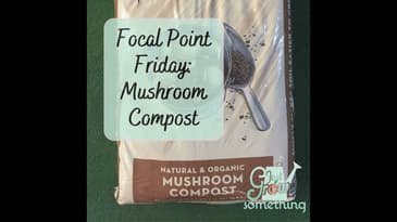 Focal Point Friday: Mushroom Compost