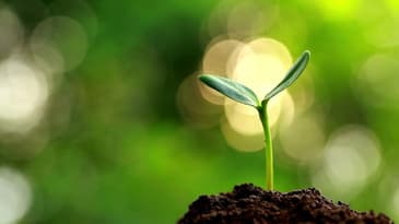 Aim High and then Aim Higher