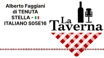 Alberto Faggiani di TENUTA STELLA - 🇮🇹 ITALIANO S05E16 | La Taverna Friuli Wine