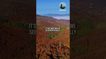 Take Your First Steps With God #DivineInvitation #RelationshipWithGod #HowGodSpeaks #godscalling