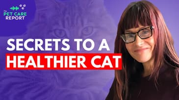 Hidden Health Risks Every Cat Parent Needs to Know!