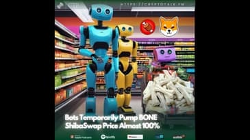 Bots Temporarily Pump #BONE #ShibaSwap Price Almost 100% (OOC)