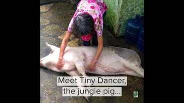 Coordinator Anne and Tiny Dancer!