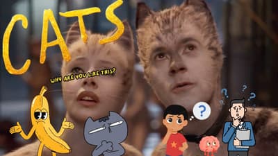 Cats: Why Are You Like This? with @Poybww1245