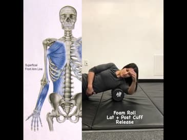 Decrease Wrist Pain coming from the Shoulder