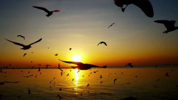 Become the Best Version of You: Inspirational Relaxing Message