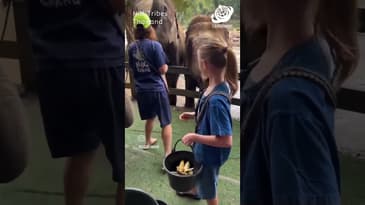 A Glimpse of Thailand with the Weichels: Hill Tribes with Globe Aware!