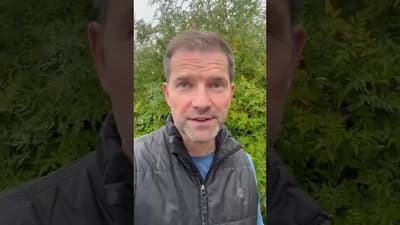 Creation Fest Journeys - Andrew Ollerton