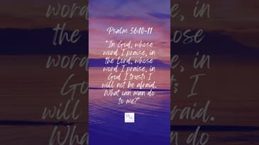 #Bible Verse - Psalm 56:10-11 #motivation #inspiration #faith