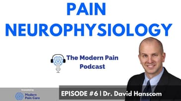 Modern Pain Podcast Episode 6 - Dr. David Hanscom Part One