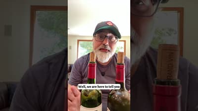 Costco’s Kirkland Signature Bordeaux Shouldn’t Be This Good #podcast #wine #costcofinds