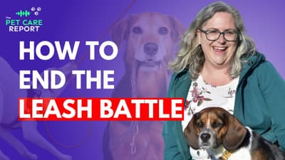 Why Dogs Pull and How to Stop It